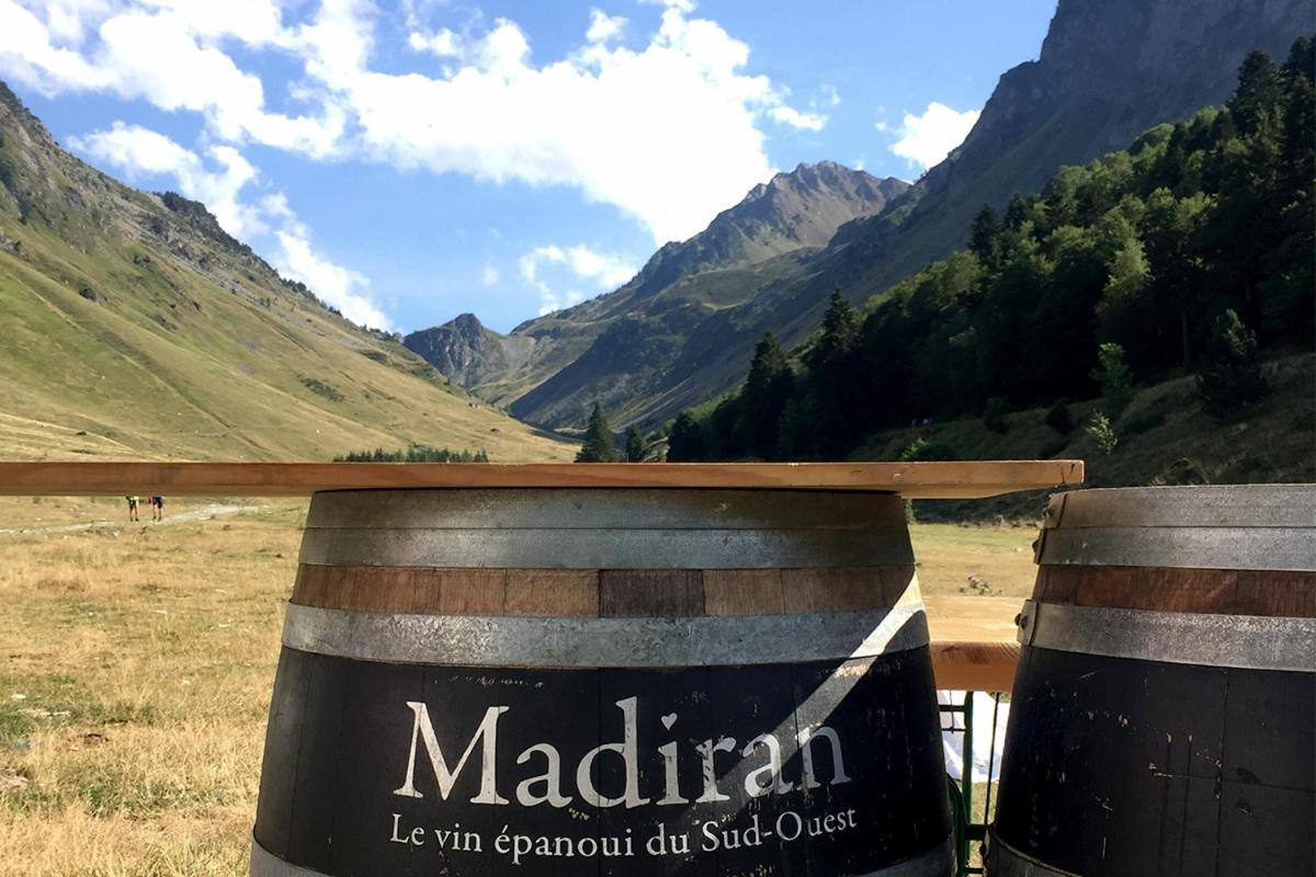 Gite, Jacuzzi & Vin Au Grenier De Madiran エクステリア 写真