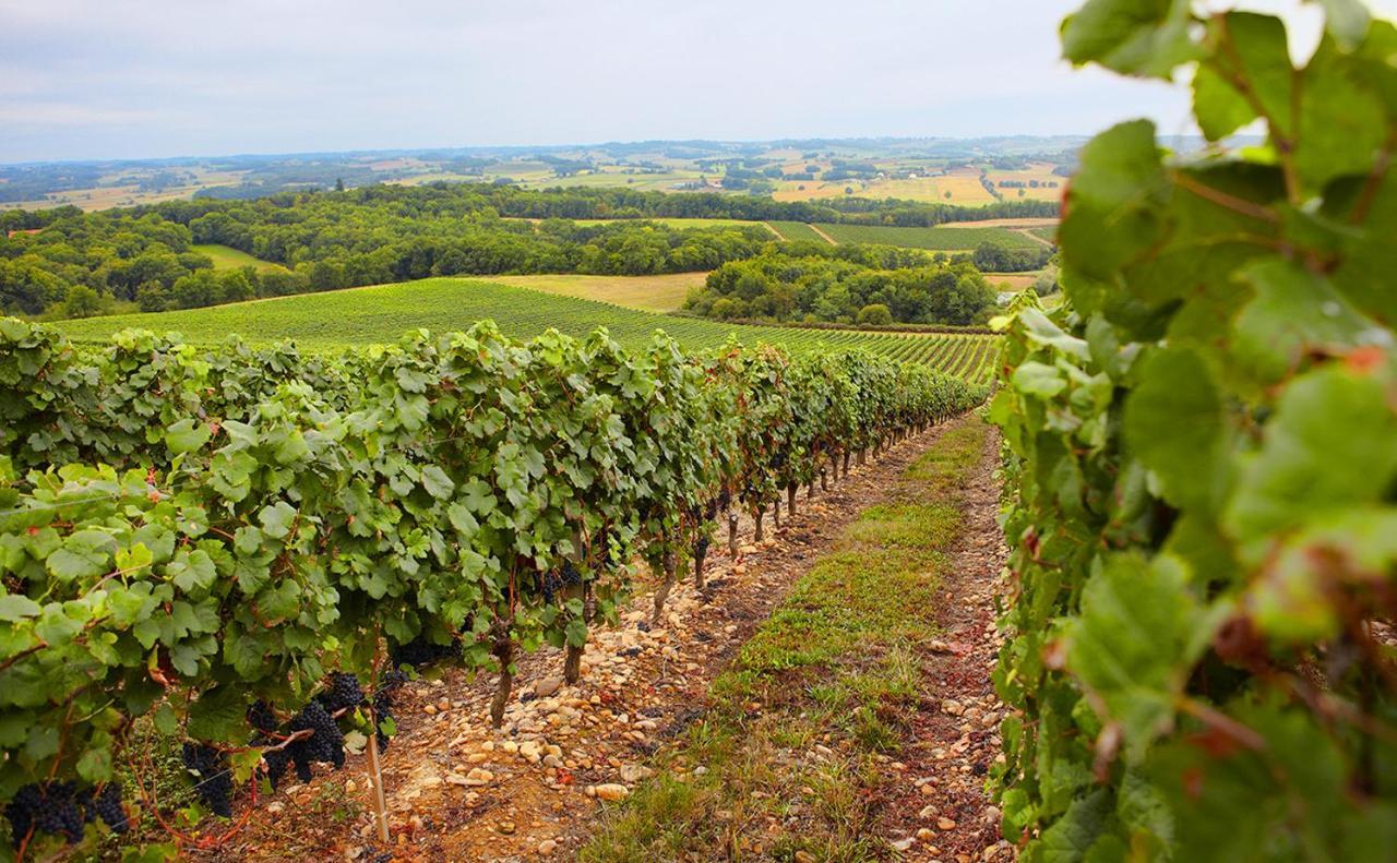 Gite, Jacuzzi & Vin Au Grenier De Madiran エクステリア 写真